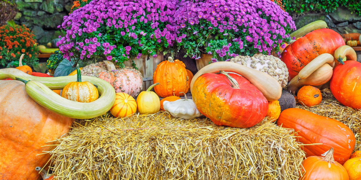 Fall produce and flowers